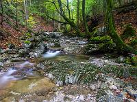 Impression aus dem Bachunterlauf - Klausgraben